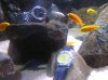 divers 011.jpg
