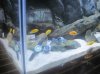 divers 005.jpg