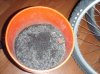 amazonia flourite black mixed.jpg