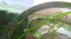 regulator 023.JPG