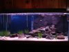 The 75 gallon Tang tank.jpg The 75 gallon Tang tank.jpg