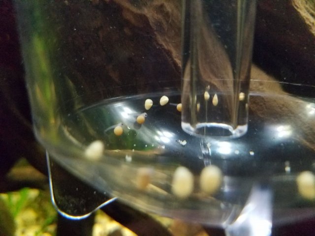 20200106_201311.jpg