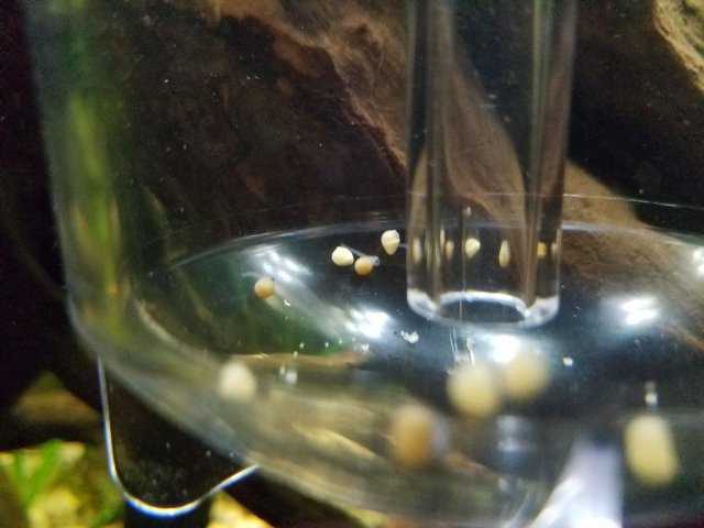 20200106_201308.jpg