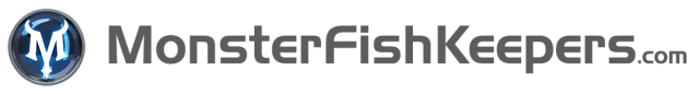 uix-logo.png uix-logo.png