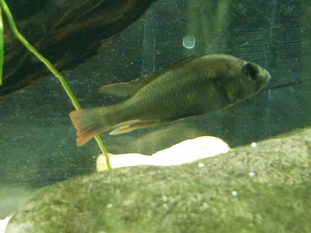 20200118_201129.jpg