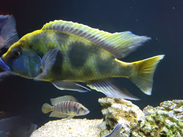20200217_174925.jpg