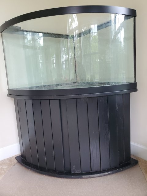 tank2.jpg