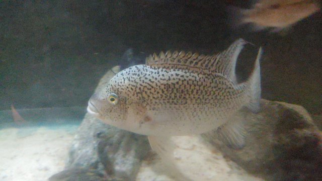 1009202104e.jpg 1009202104e.jpg