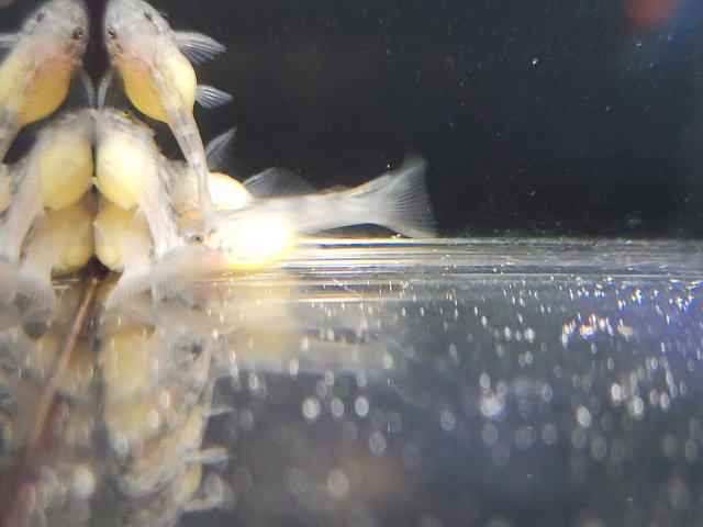 20201122_132102.jpg
