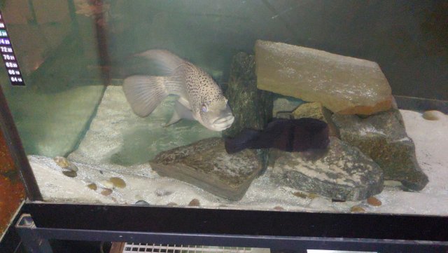 1211201452b.jpg
