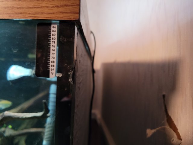 20210123_124415.jpg 20210123_124415.jpg