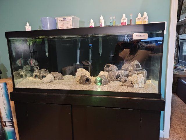 75 gallon tank empty.jpg