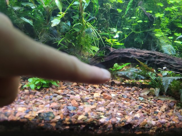20210723_143332.jpg 20210723_143332.jpg