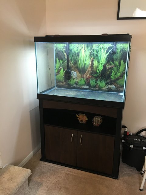 65 gallon image.JPG