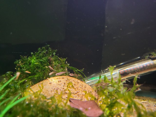 20211121_161431.jpg