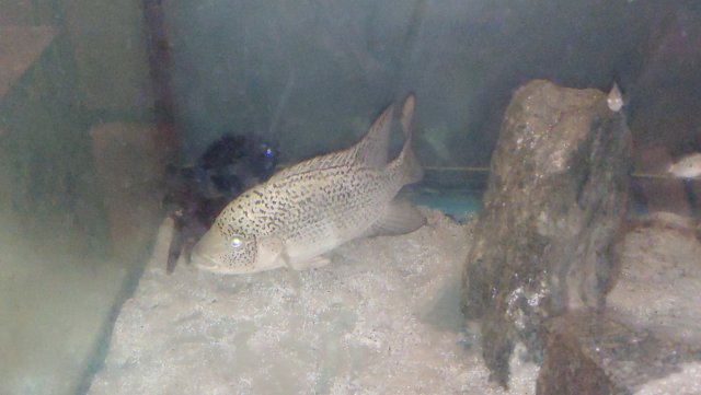 0702201052c.jpg 0702201052c.jpg