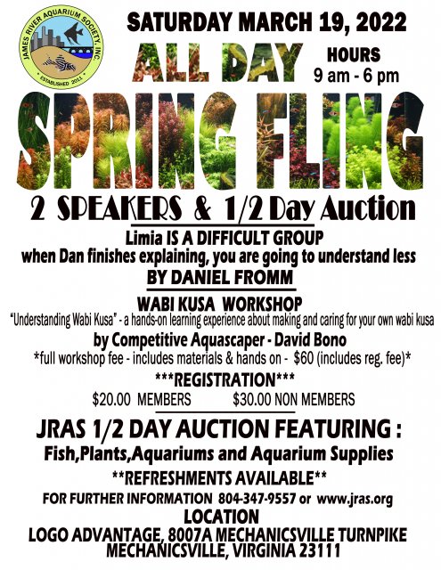 SPRINGFLING MAIN FLYER 3-19-2022 PROPOSED FEE Recovered.jpg SPRINGFLING MAIN FLYER 3-19-2022 PROPOSED FEE Recovered.jpg