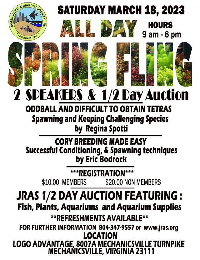 SPRINGFLING MAIN FLYER 3-18-2023.jpg SPRINGFLING MAIN FLYER 3-18-2023.jpg