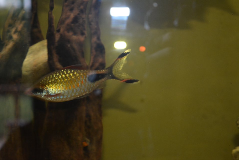 DSC_1807.JPG DSC_1807.JPG