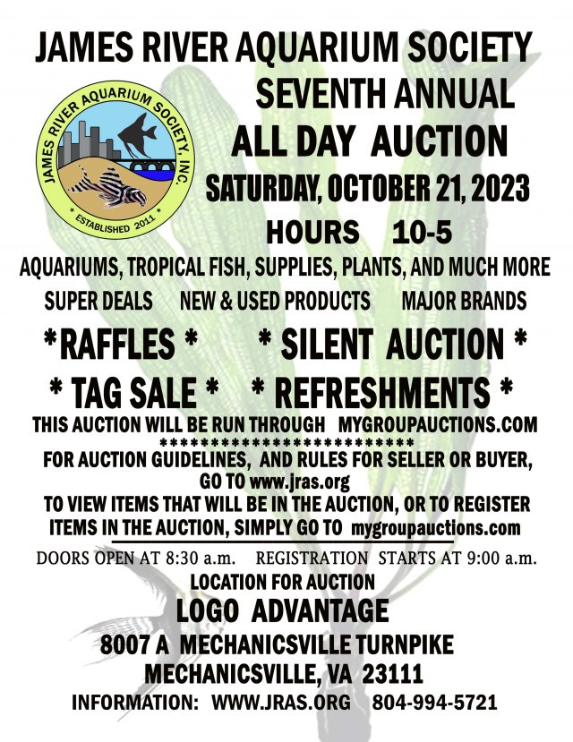 JRAS AUCTION FLYER FALL 2023lowres.jpg JRAS AUCTION FLYER FALL 2023lowres.jpg