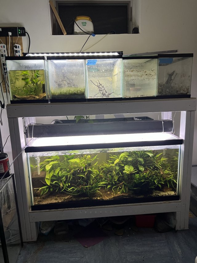 75gallon.jpg 75gallon.jpg