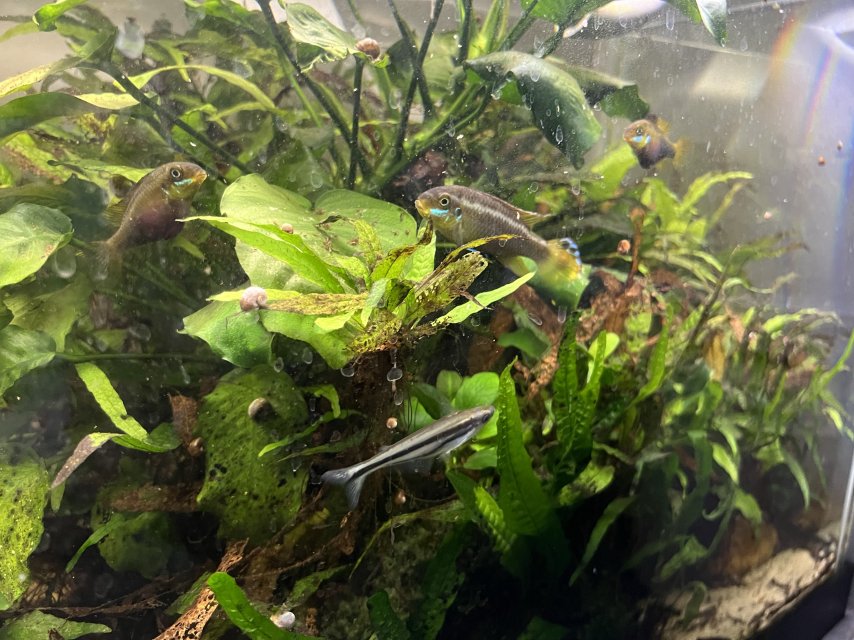 fish.jpg fish.jpg