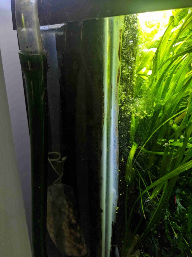 30g filter.jpg 30g filter.jpg