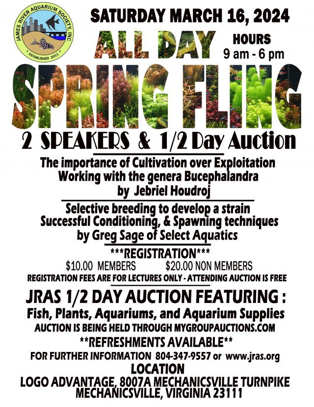 SPRINGFLING MAIN FLYER 3-16-2024.jpg SPRINGFLING MAIN FLYER 3-16-2024.jpg