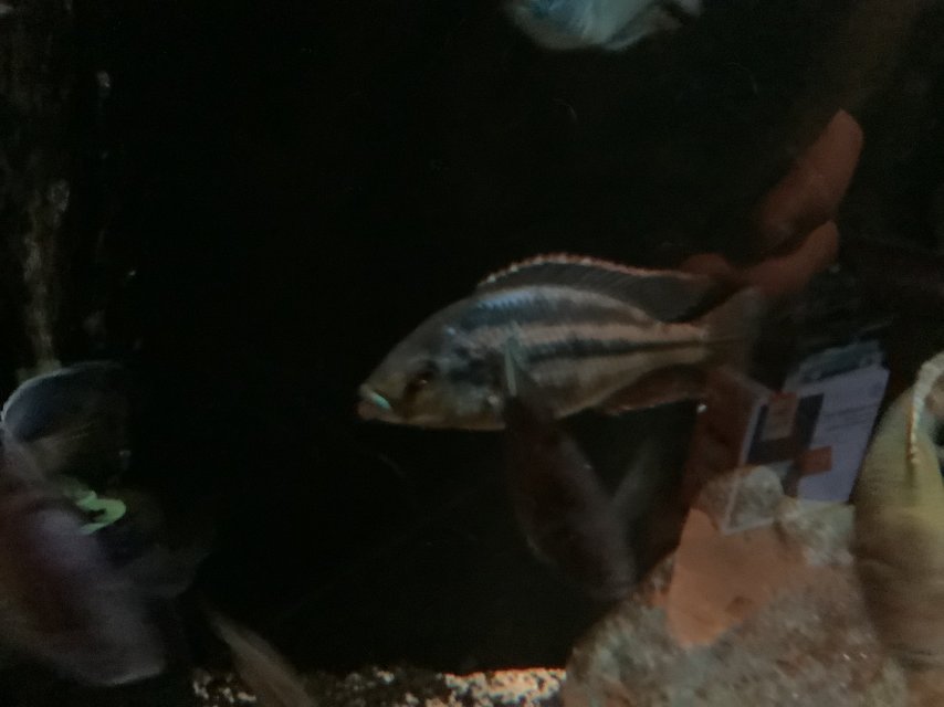 IMG_3470.jpeg