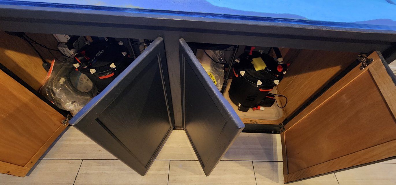 1000020124.jpg