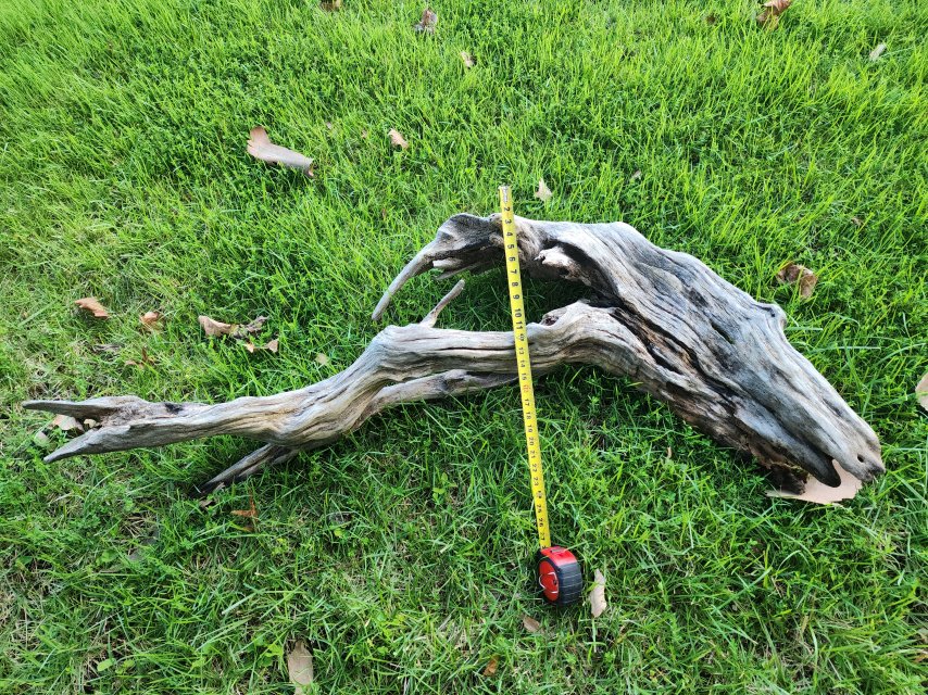 20250707_191439.jpg