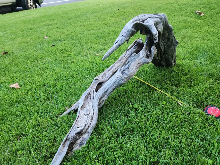 20250707_191626.jpg
