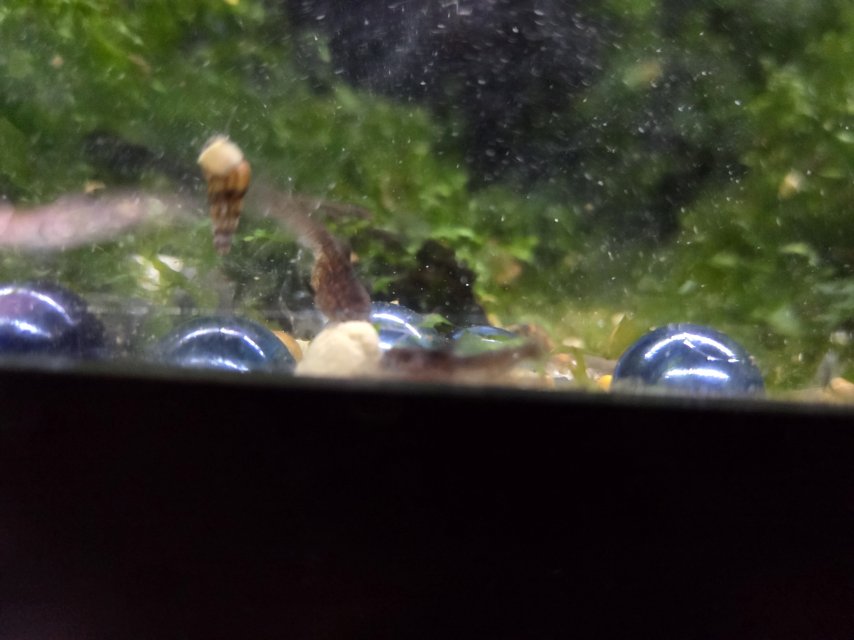 20250728_160826.jpg
