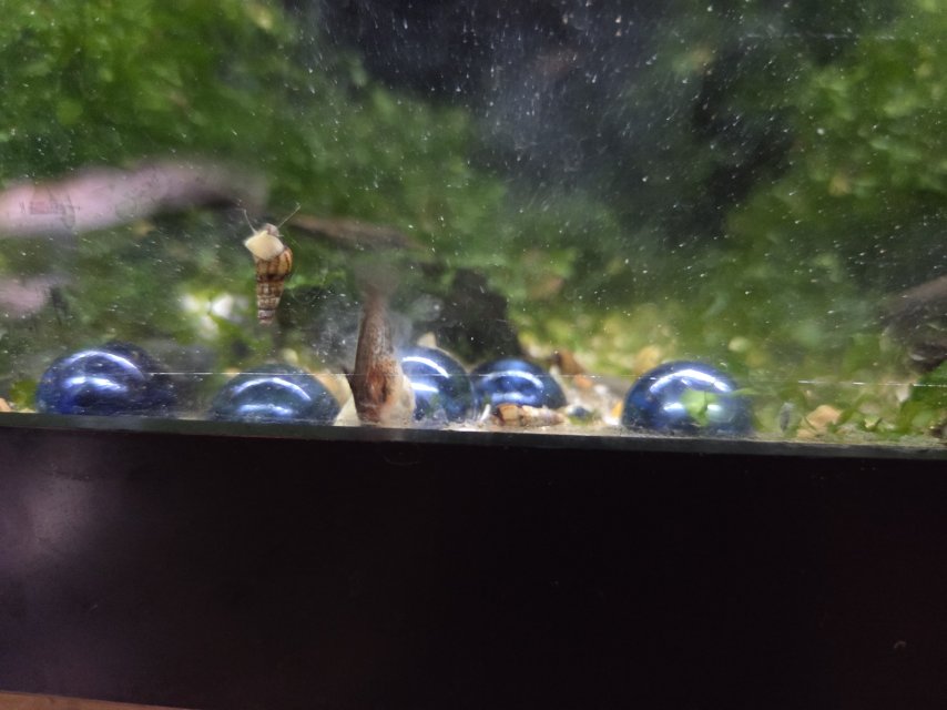 20250728_160833.jpg