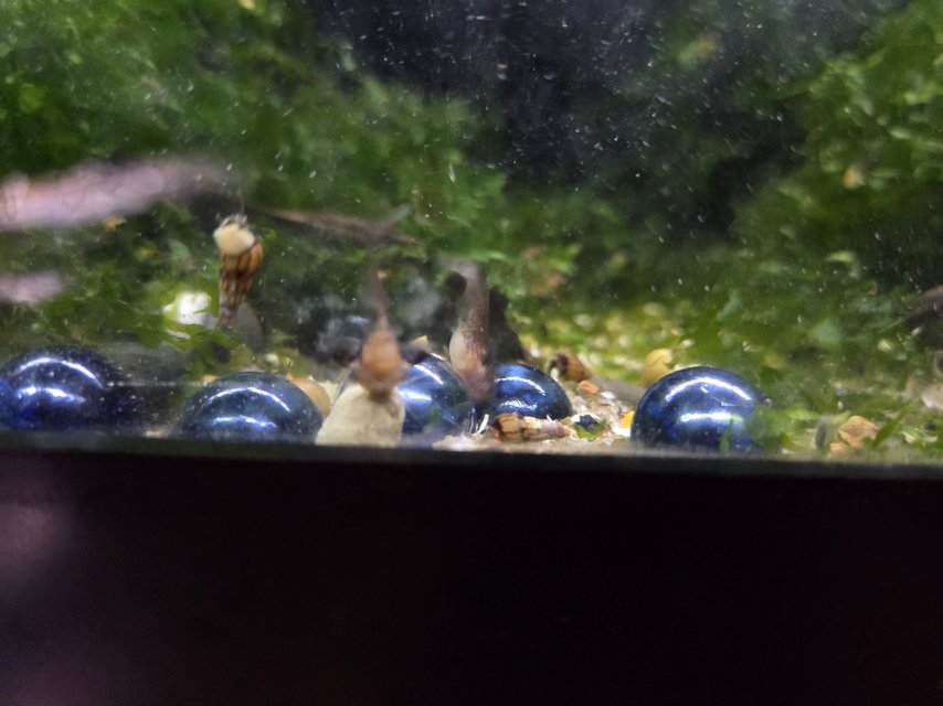 20250728_160836.jpg
