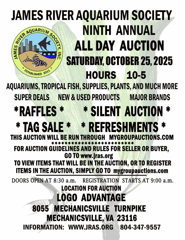 JRAS AUCTION FLYER FALL 2025low res.jpg JRAS AUCTION FLYER FALL 2025low res.jpg