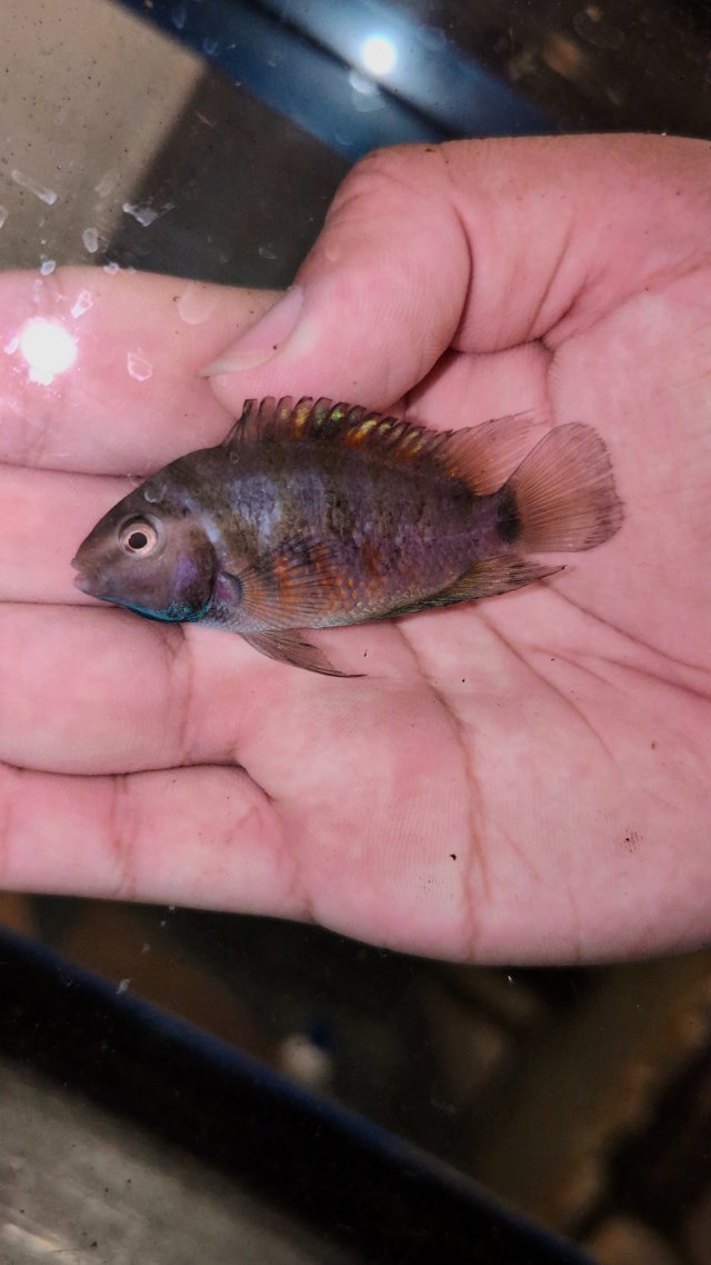 PXL_20251216_014842663.jpg PXL_20251216_014842663.jpg