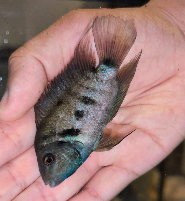 PXL_20251216_014448554.jpg PXL_20251216_014448554.jpg