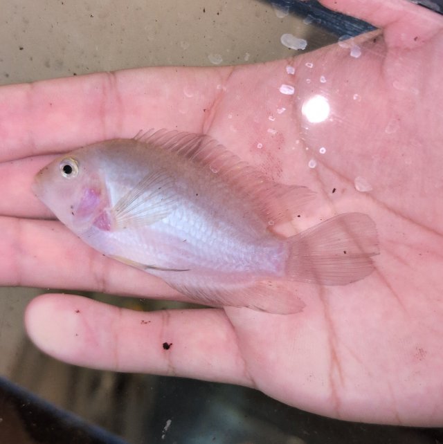 PXL_20251216_014649091.jpg PXL_20251216_014649091.jpg