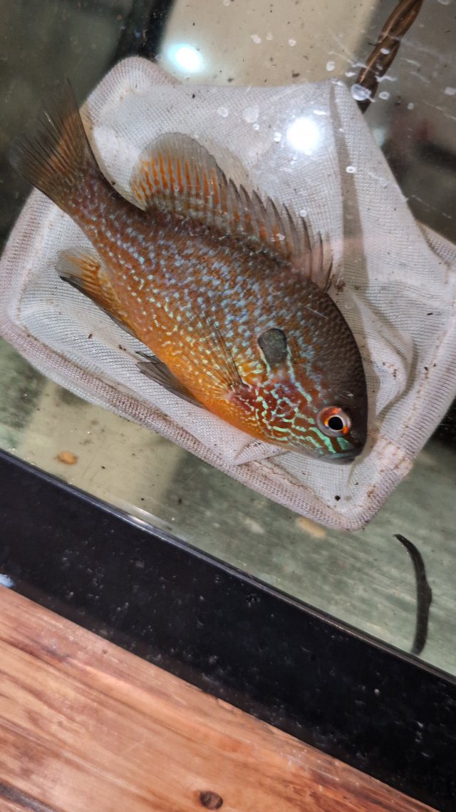 PXL_20251216_014605415.jpg PXL_20251216_014605415.jpg