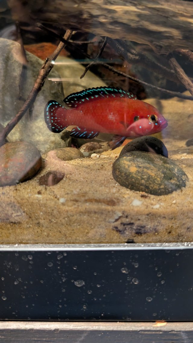 PXL_20251215_225732484.MP.jpg PXL_20251215_225732484.MP.jpg