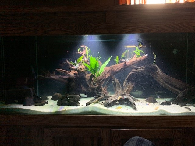 IMG_0291.jpeg IMG_0291.jpeg