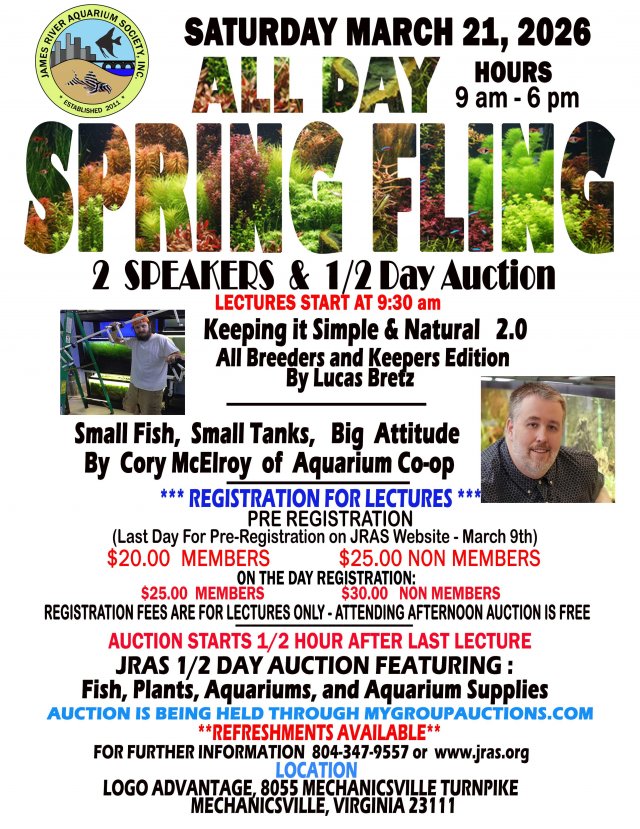 SPRINGFLING MAIN FLYER 3-21-2026LOWRES.jpg