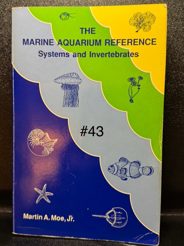 43.JPEG 43.JPEG