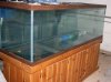 180 gallon tank (800x599).jpg