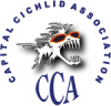 CCA_2007_logo_bold_w_initials,_shadow.png