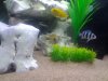 uploadfromtaptalk1333071618025.jpg