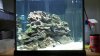 30g cube front.jpg 30g cube front.jpg