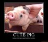 pigbutcher.jpg