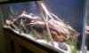 uploadfromtaptalk1335489300354.jpg uploadfromtaptalk1335489300354.jpg